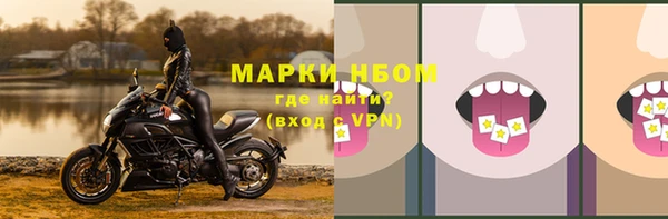 мяу мяу мука Вязьма